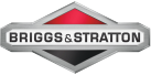 Briggs Stratton Motor